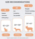 Luciphia 1 Pack 2 Pet Blankets for Dogs Cats, Fleece Print Dog Cat Blankets for Small Medium Large Puppy Kitten, Paw Grey Brown Medium(30x20 inch)...