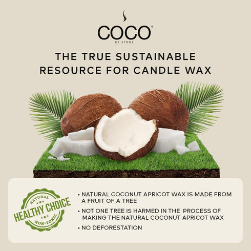 6.5oz Candle, Coconut Apricot Wax Candle for Home (Tiare) Home Fragrance Products, 1 Wick Candle, Enhance Indoor Aroma, Vegan & Cruelty-Free, Clea...
