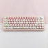 Hyekit PBT Keycaps for Mechanical Keyboard - 145 Keys Pink Pig Keycaps, Dye-Sublimation Cute Keycaps MOA Profile Custom Keycaps for Cherry Gateron...