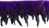 Sowder Rooster Hackle Feather Fringe Trim 5-7" in Width Pack of 5 Yards(Purple)...