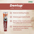Dentup Herbal Toothpaste with Clove- Nature's care for complete oral hygiene PACK of 2 (100 gm x 2)...