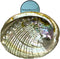 1 Abalone Shell 4 to 5 Inches | Beautiful All Natural Smudge Bowl - Perfect for Smudge Sticks, Incense Sticks and a Sage Smudge Kit. JC-011...