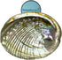 1 Abalone Shell 4 to 5 Inches | Beautiful All Natural Smudge Bowl - Perfect for Smudge Sticks, Incense Sticks and a Sage Smudge Kit. JC-011...