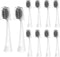 Replacement Toothbrush Heads with Covers for Burst (10 Count, White)...