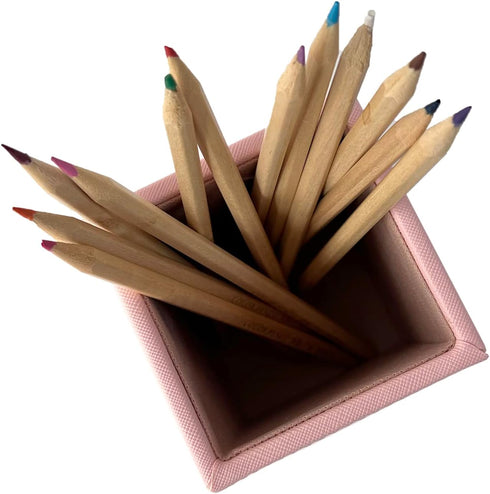 UnionBasic Square Pen Holder, Leather Pencil Cup, Desktop Caddy Stationery Organizer, Taiga Pattern Leather, Pink...
