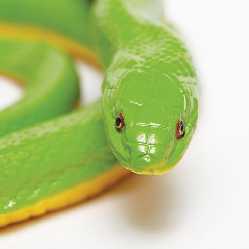 Safari Ltd. Rough Green Snake Figurine - Detailed 36" Plastic Model Figure - Fun Educational Play Toy for Boys, Girls & Kids Ages 3+...