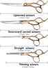 Dog Pet Grooming Scissors Shears Set,Professional 5 in 1 Hairs Tool Accessories for Dogs, Cats and Other Animals (Rose Glod)...