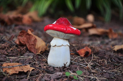 G & F 10043 MiniGardenn Fairy Garden Miniature Premium Collection Life Size Mushroom Statue (Set of 2), Red...