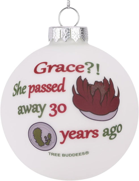 Tree Buddees Grace?! She Passed Away 30 Years Ago Glass Christmas Ornament...