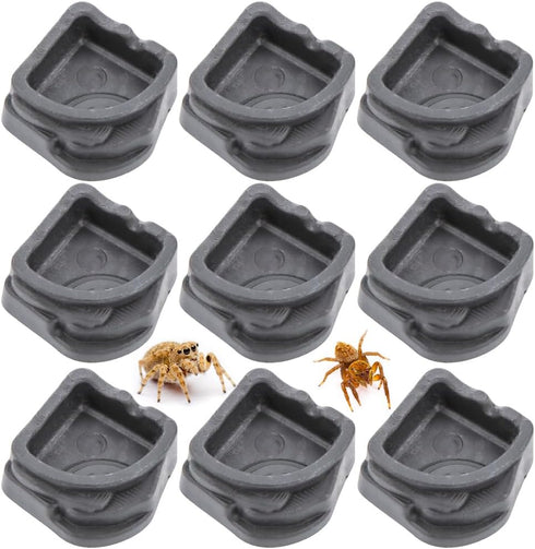 9 Pcs Tarantula Micro Water Bowl, Mini Resin Dish Tiny Bowl for Spider Tarantula Millipede Insect (Small: 1" D, 0.39" H)...