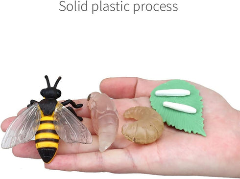 Bee Growth Life Cycle Insect Life Cycle Figurines of Bee, Bee Figurine Model Set with 4 Instruction Cards, Realistic Animal Growth Cycle Model, Ed...