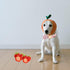Elegant little tail Dog Collar with Flower, Strawberries Print Pet Collar Flower Dog Collar Summer Cute Dog Collar Adjustable Dog Collar for Small...