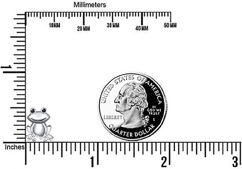 Alphm S925 Sterling Silver Frog Toad Stud Earrings for Women Jewelry...