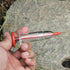 2 PCS Seeds Dispenser Mini Garden Seed Spreaders Seed Sowing Seeder Tool Seeder Tool for Horticultural Seeding...