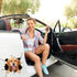 Funny Crack Dog Car Sticker 3 PCS, 3D Car Window Clings Labrador Golden Retriever Pitbull Realistic Animal Truck Wall Decal Pet Vinyl Static Stick...