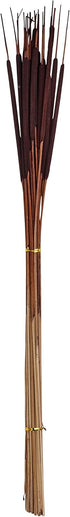 26" Natural Dried Pencil, Set of 5 Bunches of 25, 125pcs, Dark Brown Cattail, Large...