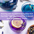 Organic Butterfly Pea Flowers - Healthy Herbal Loose Leaf Blue Tea - Natural Food Coloring - Caffeine Free 1.75OZ...