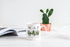 JMM Industries W.A.P Coffee Mug | Wet Azz Plants | Funny Cute Succelent Gardening Cactus | PLant Life Motivation Inspiration | 11-ounce White Cera...