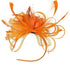 Song Qing Women's Fascinator Feather Flower Hair Clip Pin Brooch Corsage Bridal Hairband Derby Hat Cocktail Party Wedding...