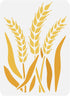 FINGERINSPIRE Wheat Stencil 11.7x8.3 inch Wheat Stalk Stencil Plastic Wheat Painting Stencil Reusable Wheat Pattern Stencils for Painting on Wood,...