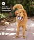 Petstages Nubbiez Treat and Squeak Ball Dog Toy...