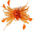 Song Qing Women's Fascinator Feather Flower Hair Clip Pin Brooch Corsage Bridal Hairband Derby Hat Cocktail Party Wedding...