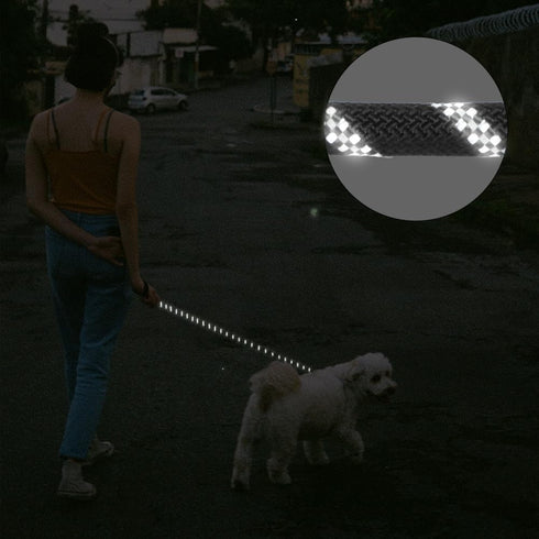 CBBPET Highly Reflective Threads Dog Leash for Large Medium Small Dogs,Heavy Duty Dog Leash,Durable Puppy Training Leashes...