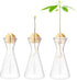 Haoideo Avocado Seed Sprout Starter Vase Planter Pot Glass Avocado Tree Plant Growing Vase Kit Indoor Home Decor Hydroponic Tabletop Flower Pot fo...