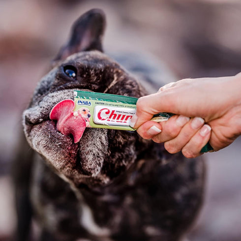 INABA Churu Meal Topper for Dogs, Complete & Balanced, Creamy, Lickable Purée Dog Food Toppers, 1.69 Ounce Tube, 3 Tubes (3 per Pack), Chicken wit...