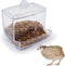 Button Quail Transparent Automatic Feeder Feed Box Seed Food Container...