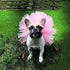 Pink Pet Puppy Small Dog Lace Skirt Princess Tutu Dress Clothes Apparel Pet Costumes Dog Dresses Pet Apparel and Accessories...