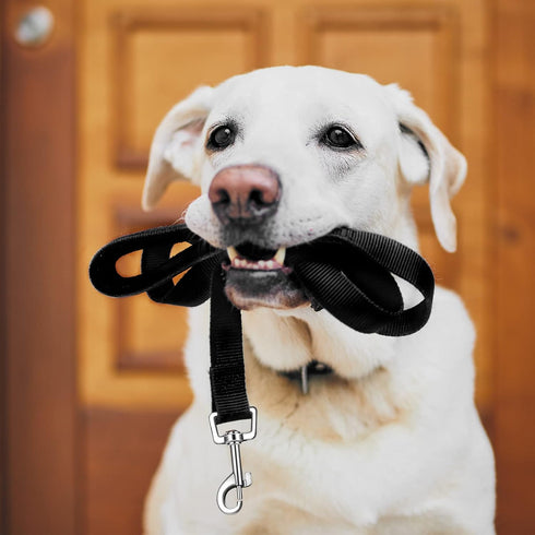 12 Pieces Long Training Leash for Dogs Bulk Nylon Puppy Chain Leash for Small Medium Large Dogs 3/4 Inch Puppy Traction Rope for Training Playing ...