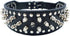 Dogs Kingdom Faux Leather Spiked Studded Dog Collar pet collar Pitbull, Boxer Black L...