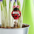 Simply Conserve AM Conservation Group Red Ladybug Indoor & Outdoor Soil Moisture Meter - Ladybug Themed Moisture Meter for Plants with Easy-to-Rea...
