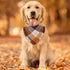 Fall Dog Bandana Autumn Thanksgiving Plaid Reversible Triangle Bibs Scarf Accessories for Dogs Pets...