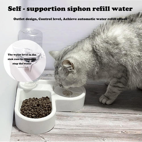 Double Dog Cat Bowls - Pets Water and Food Bowl Set with Automatic Water Bottle, Raised Pet Feeder Bowl for Cats and Small Dogs...