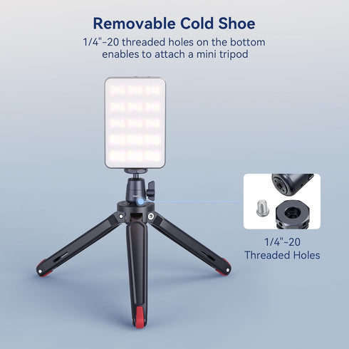 SmallRig Mini Ball Head (2 Pack) with 1/4" Screw and Removable Shoe Mount, 360 Degree Rotatable Aluminum Tripod Head for Camera Tripods Monopods C...