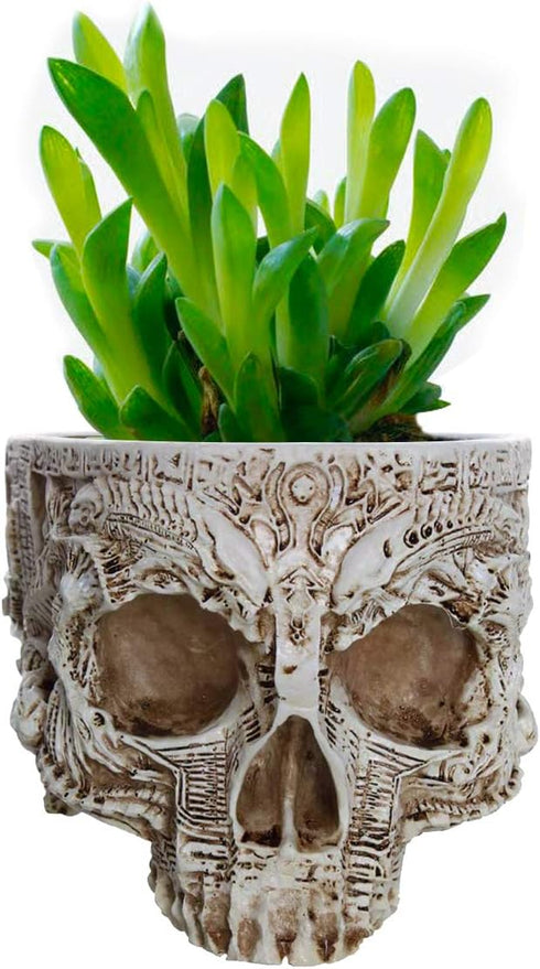 Skull Potted Plant Head Planter Pen Holder Desk Office Organizer Stationery Small Succulent Pots Gifts Decor Mini Resin Home Gardening Flower Pot ...