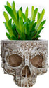 Skull Potted Plant Head Planter Pen Holder Desk Office Organizer Stationery Small Succulent Pots Gifts Decor Mini Resin Home Gardening Flower Pot ...