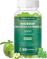 Soursop Graviola Gummies, Organic Soursop Leaves Extract 2000mg for Antioxidant, Immune Support & Digestive Promotion, Vegan - Green Apple Flavor ...