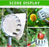 SYCOOVEN Fruit Picker Head Basket Metal Fruit Picker Agricultural Garden Hardware Tools, Portable Fruit Catcher for Harvest Picking Cherry, Pear a...