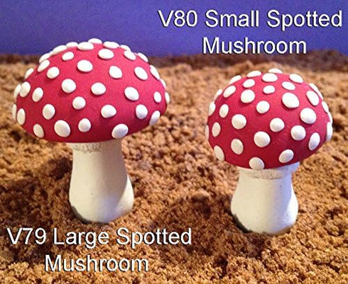 Scott Clark Woolley Small Spotted Toadstool Mold...