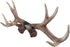 Zeckos 17 inch Lifelike Deer Antler Rack Decorative Hunting Cabin Natural Wall Hook...