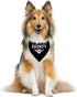 Security Dog Bandana, Dog Bandana, Black Pet Dog Scarf Accessories, Pet Dog Triangle Scarf, Funny Cute Dog Bandana, Dog Bandana for Small Medium L...