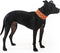 Reflective Dog Collar. Fluorescent, Blaze Orange with Adjustable Fastener for Small, Medium & Large Pets. High Visibility Dog Products to Safeguar...