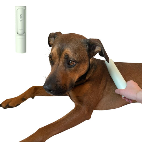Soothing Dog Brush - Anxiety Relief Grooming Brush - Self Cleaning Calming Slicker Brush for Grooming Pets - Brushes for Long Short Haired Dogs - ...