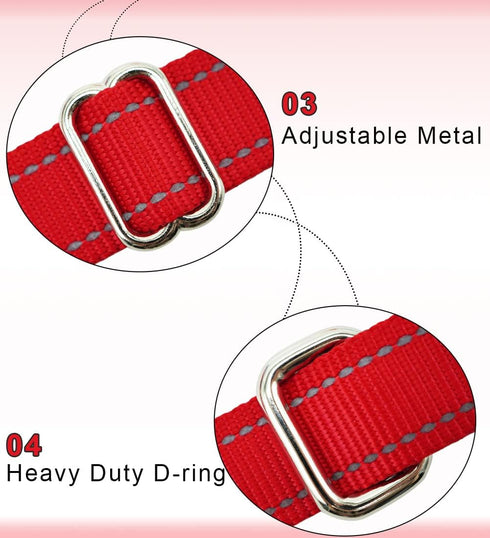 6FT Slip Lead Dog Leash Anti-Choking, Reflective Strong Nylon Flat Dog Leash, No Pulling Dog Training Leash for Small Medium and Large Dogs/Pets (...