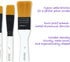 VViViD White Enamel Synthetic Red Sable 10 Assorted Short Handle Paint Brush Set Including Nylon Carrying Case...