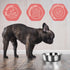 2pcs Stainless Steel Dog Bowls, Hammered Thickened Metal Dog Bowl Feeding or Water Bowls for Small/Medium/Large Sized Dogs & Cats Stackable Metal ...