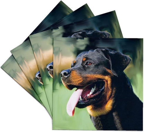 3dRose cst_4378_3 Rottweiler-Ceramic Tile Coasters, Set of 4...